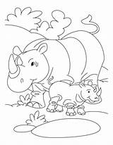 Coloring Pages Rhinoceros Baby Rhino Printable Kids Animal Endangered Colouring Animals Zoo Color Rhinos Sheets Species Cartoon Big Five Print sketch template