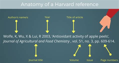 basic guide   harvard referencing style content connects