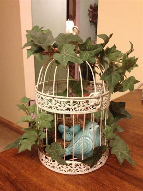 decorative bird cage ideas