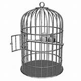 Cage Bird Door Coloring Pages Opening Color sketch template