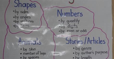 Classify And Categorize Anchor Chart Ed To Help My First Graders