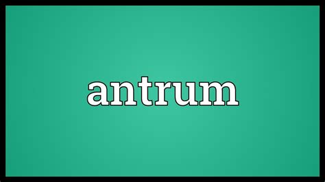 antrum meaning youtube