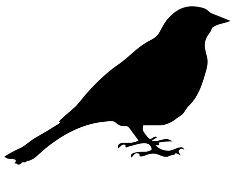 bird outline   bird outline png images  cliparts