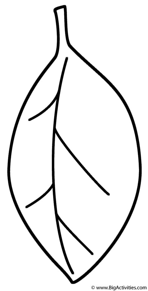 leaf coloring page autumnfall