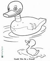 Ugly Duckling Coloring Pages Printable sketch template