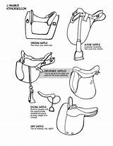 Tack Horse Drawing Draw Drawings Horses Gear Riding Do Boots Equestrian Choose Board sketch template