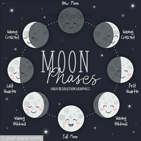 moon phases clipart digital  cute moon clipart moon cycle