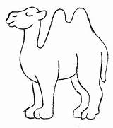 Camels sketch template