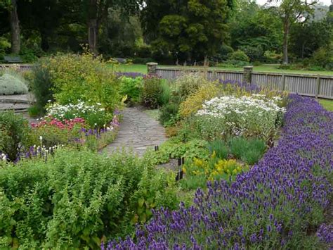 herb garden dunedin botanic garden official website