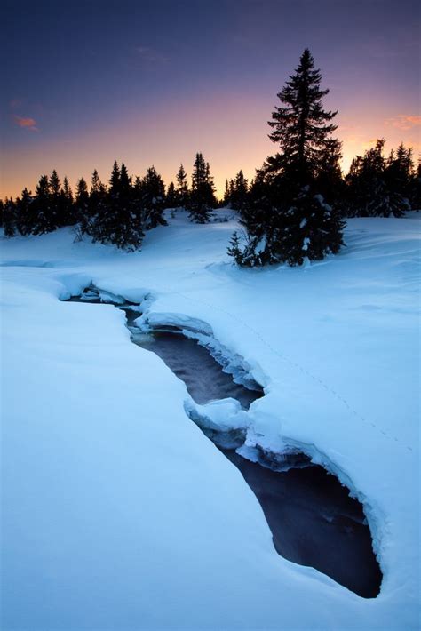 winter winter scenes photo gorgeous scenery