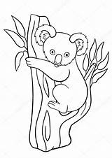 Koala Koalas St3 sketch template