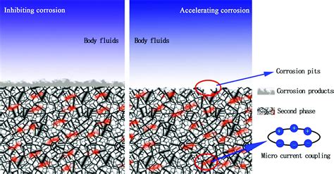 intersect body fluids dense complete telegraph