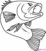 Fish Drawing Simple Drawings Clipartmag sketch template
