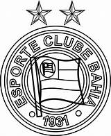 Colorir Futebol Bahia Clube Esporte Desenhos Escudos Botafogo Emblema Grátis Regatas sketch template