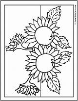 Sunflower Coloring Pages Sunflowers Realistic Printable Kids Printables Fall End Summer Stripe Gray Pdf Colorwithfuzzy Getdrawings sketch template