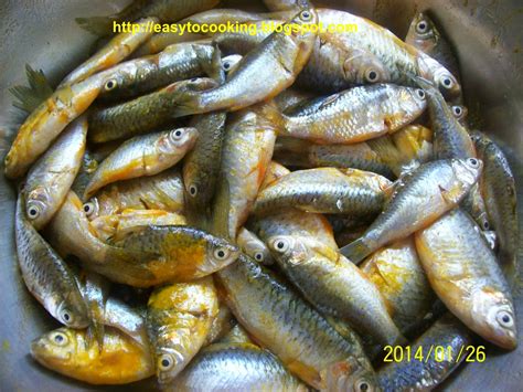 easy recipes   puti macher jhal fish puti  mustard seed paste