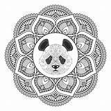 Panda Adults sketch template