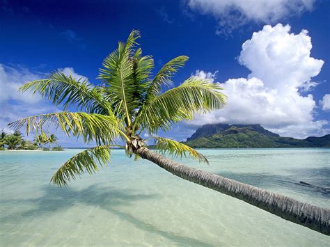 beautiful tropical islands desktop wallpaper wallpapersafari
