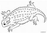 Lizard Eidechse Horned Malvorlagen Cool2bkids Gehörnte sketch template