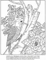 Coloring Pages Print Visit Bubblews Bird Color State American sketch template