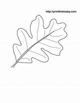 Leaf Oak Printable Stencil Coloring Popular sketch template