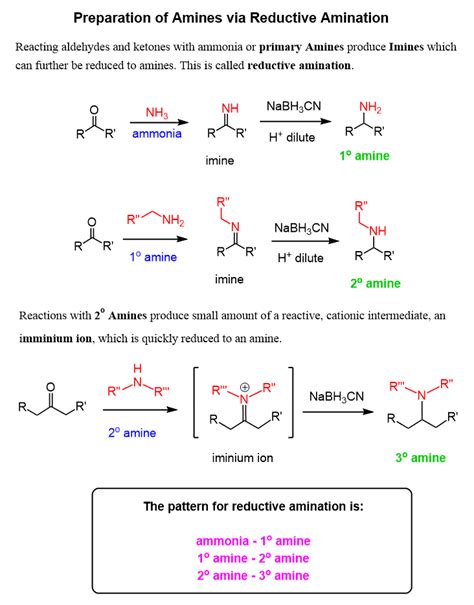 preparation  amines chemistry steps