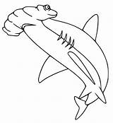 Tiburon Hammerhead Martillo Marinos Hellokids Tiburones Shortfin Mako sketch template