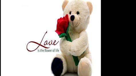 cute love pictures love  love wallpapers feel  love love pics  youtube