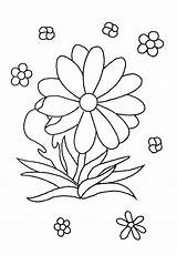 Fleur Coloriages Dessins Plante Plantes Stylisées sketch template
