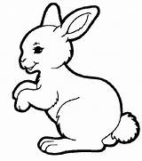 Bunny Coloring Rabbit Pages Baby Easter Cute Hopping Drawing Printable Cartoon Lapin Coloriage Petit Animaux Color Print Colouring Adorable Bear sketch template