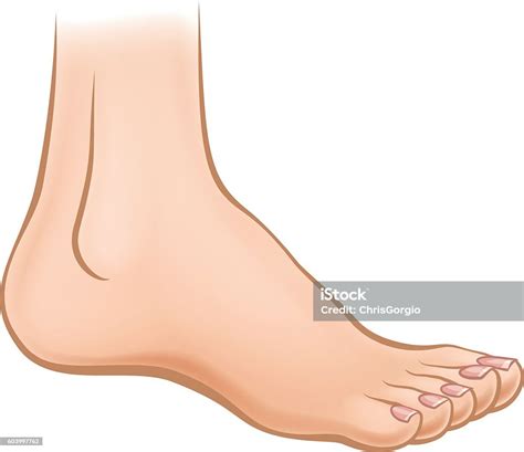cartoon foot stock illustration  image  istock