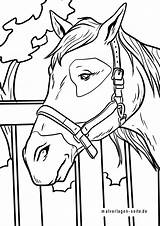 Pferdekopf Malvorlage Pferde Ausmalbilder Malvorlagen Ausmalen Drucken Kostenlose Reiten sketch template