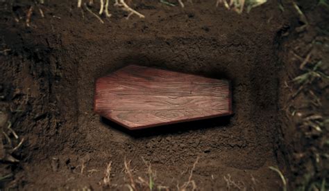 shock  coffin  body buried  years    school