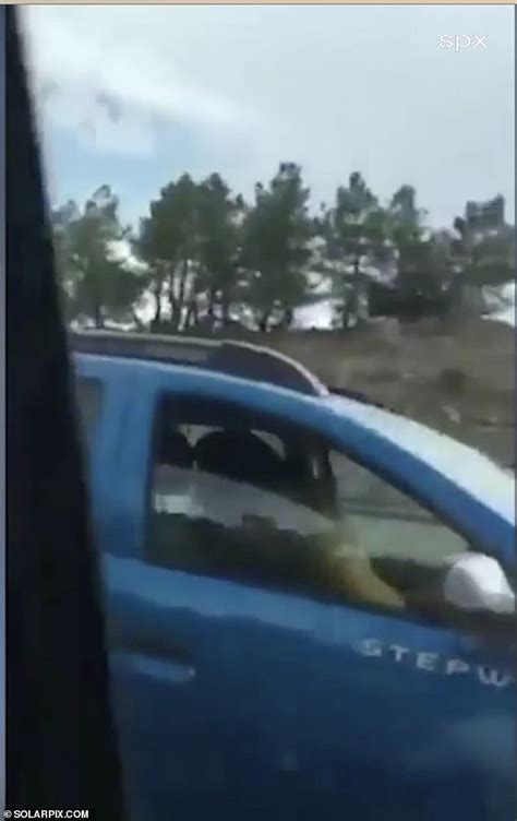shocking moment couple are caught having sex while driving