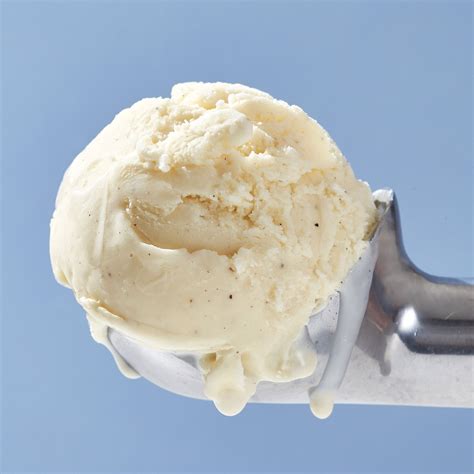 double fold vanilla ice cream singing dog vanilla