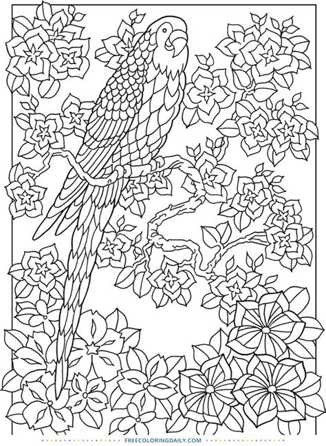 jungle bird coloring page  coloring daily