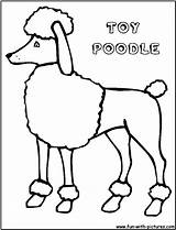 Toypoodle sketch template