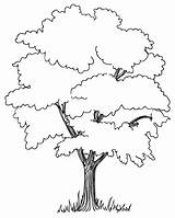 Trees Preschool sketch template