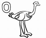 Coloring Pages Alphabet Ostrich Printable Info sketch template