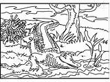 Crocodile Krokodil Alligator Kleurplaten Coloriages Colorier Coloringhome sketch template