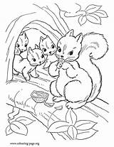 Coloring Squirrel Pages Squirrels Mommy Her Print Cubs Colouring Sheet Babies Animal Printable Color Nuts Animals Cute Family Kids Fun sketch template