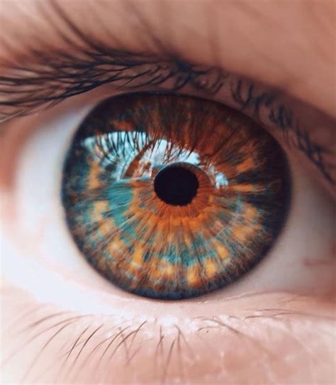 pin de jésica zalazar em eyes cores de olhos raras olhos bonitos