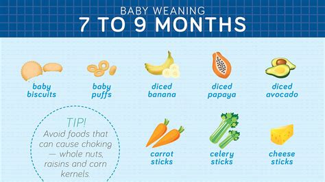 age guide  weaning baby infographic