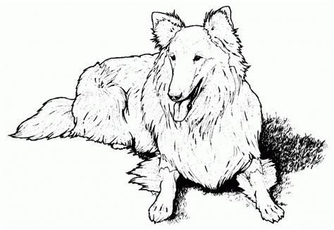 coloring pages dogs incredible wolf shauna canute