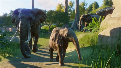 planet zoo games news dailygame