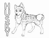 Husky Huskies Alaskan Asd5 sketch template