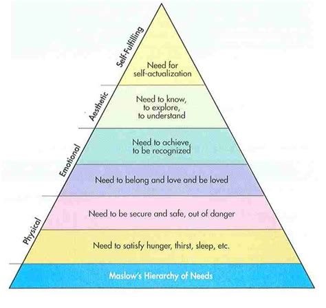 maslow s hierarchy of needs nursing pinterest