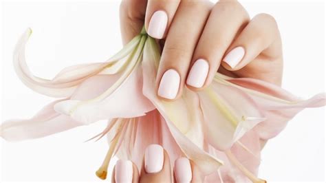 ck nails frederick md nail salon offering manicure pedicure waxing