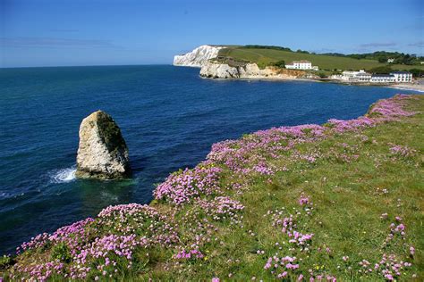 isle  wight anderson tours