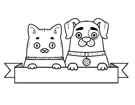 puppy  kitten coloring page coloringcrewcom